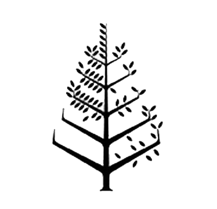 圣瑞吉斯蓬米塔度假村 Logo